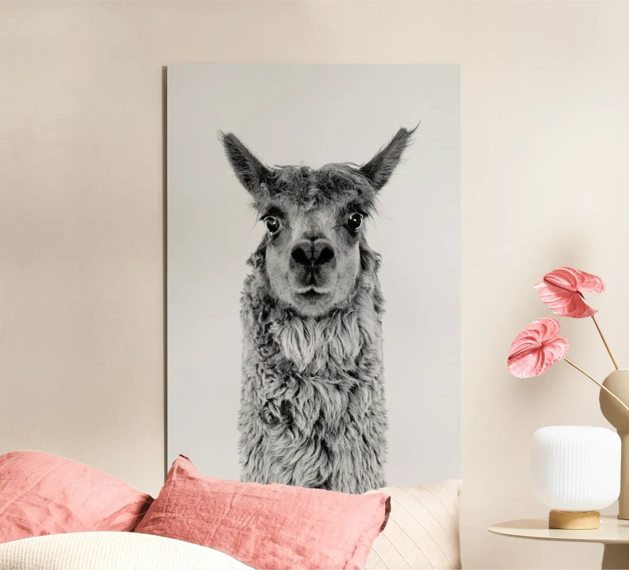 Alpaca alluminio dibond da Paws & Claws