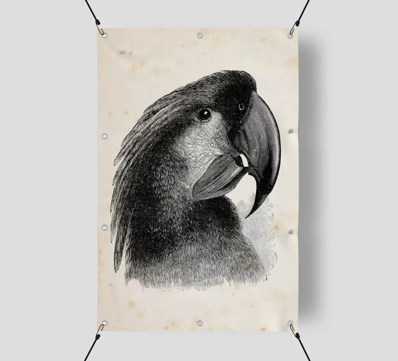 Cockatoo telo in pvc da Flora & Fauna
