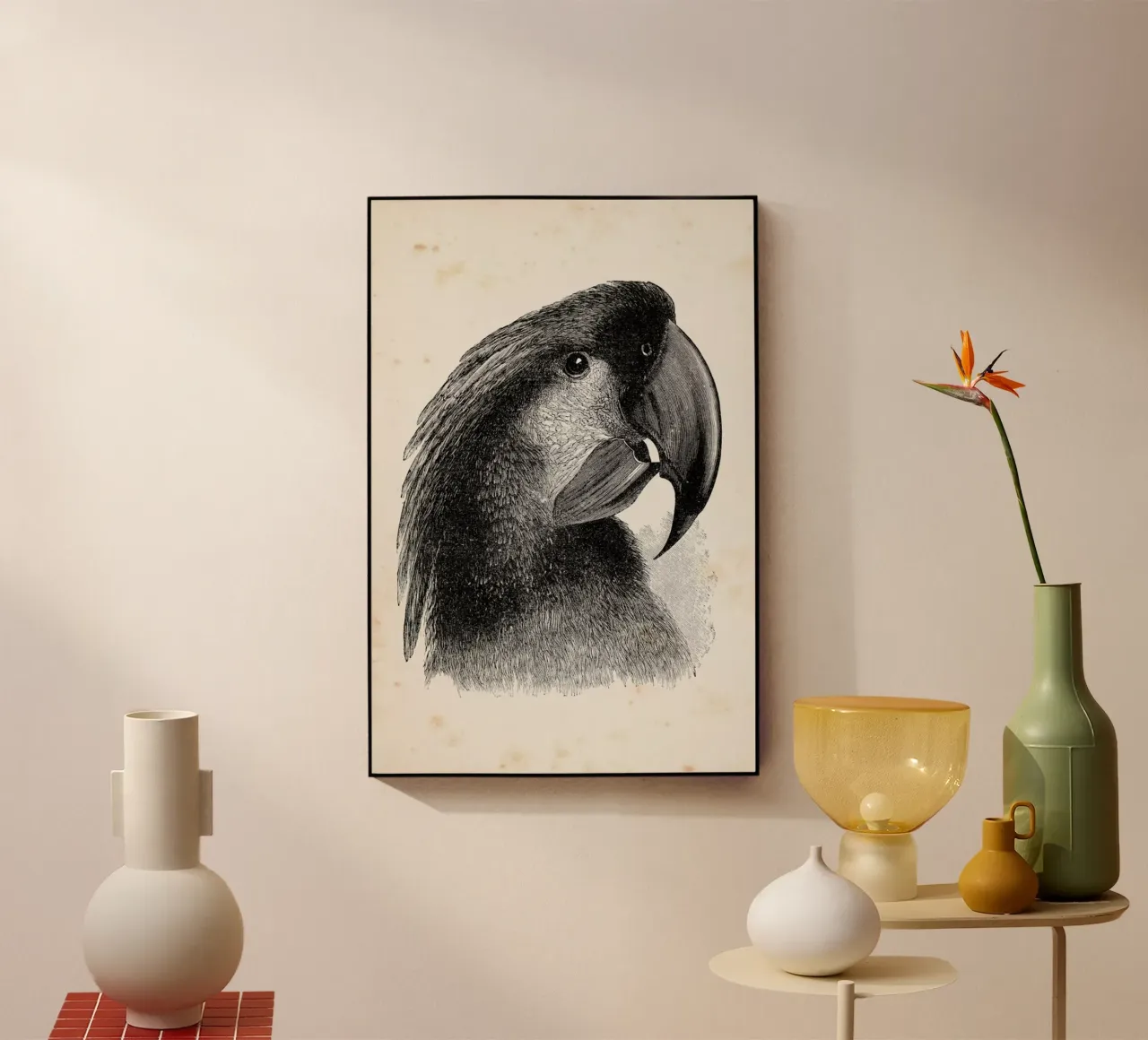 Cockatoo plexiglass da Flora & Fauna