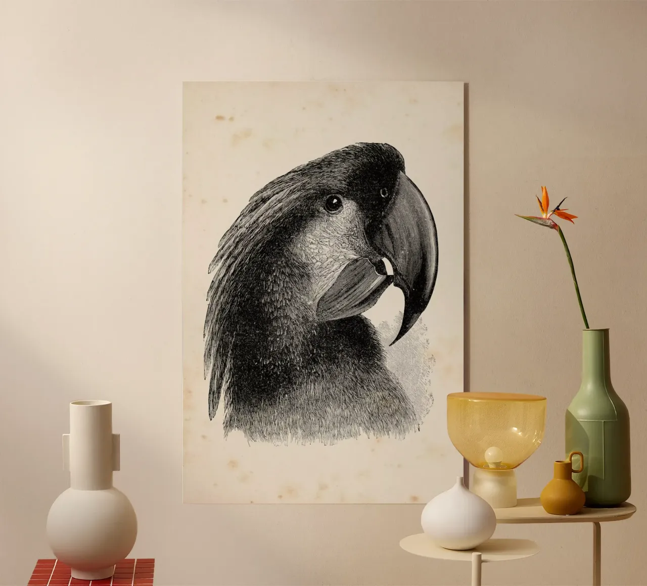 Cockatoo plexiglass da Flora & Fauna