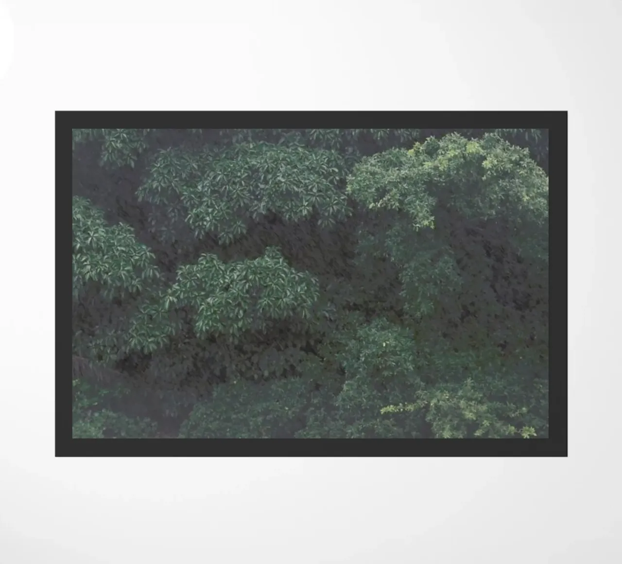 Cover zerbino da Ballack Art House