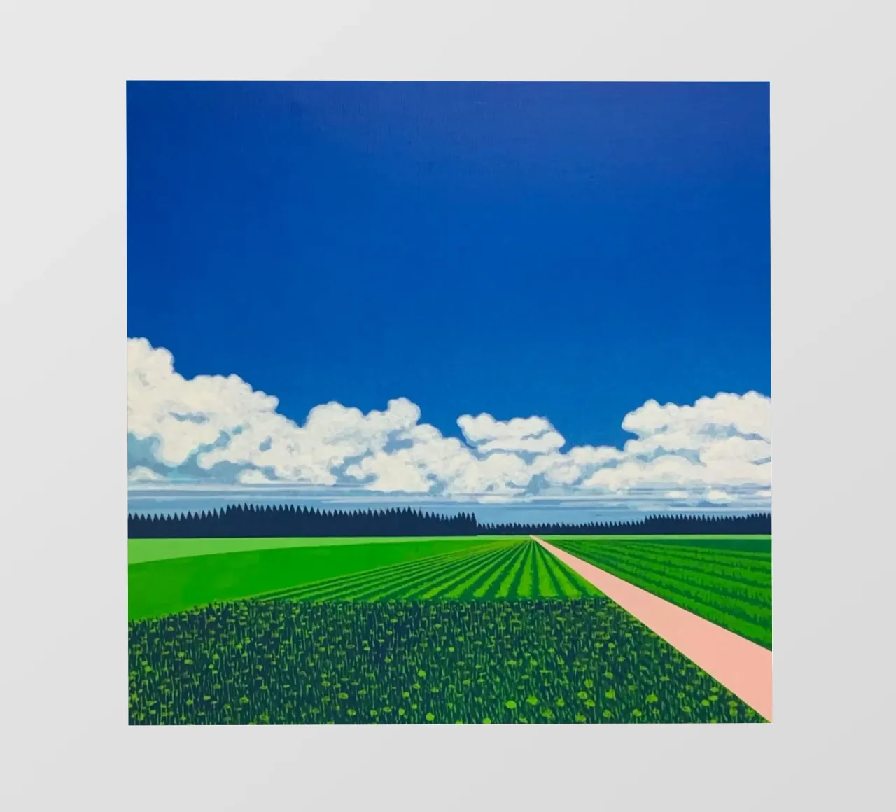 Risaie Hiroshi Nagai telo in pvc da Perdana shop
