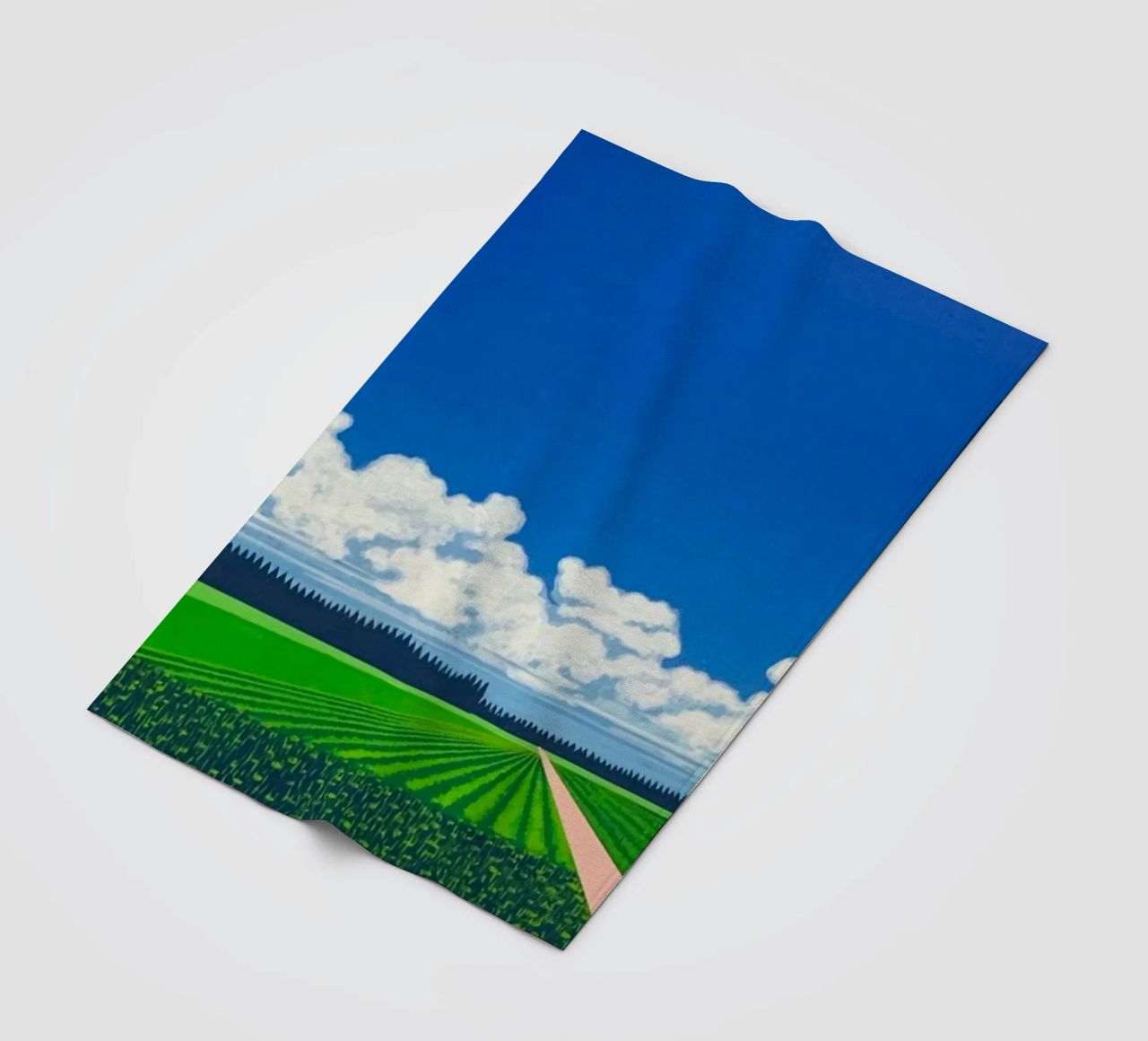 Risaie Hiroshi Nagai coperta in pile da Perdana shop