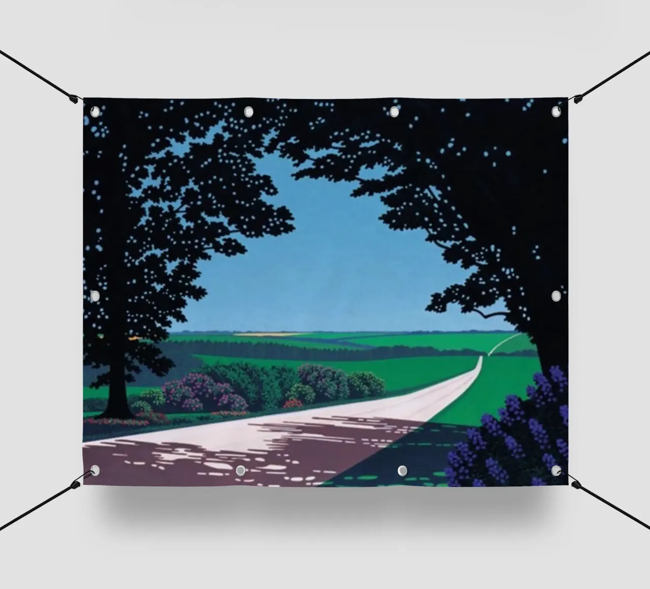 Bellissimo corridoio telo in pvc da Perdana shop