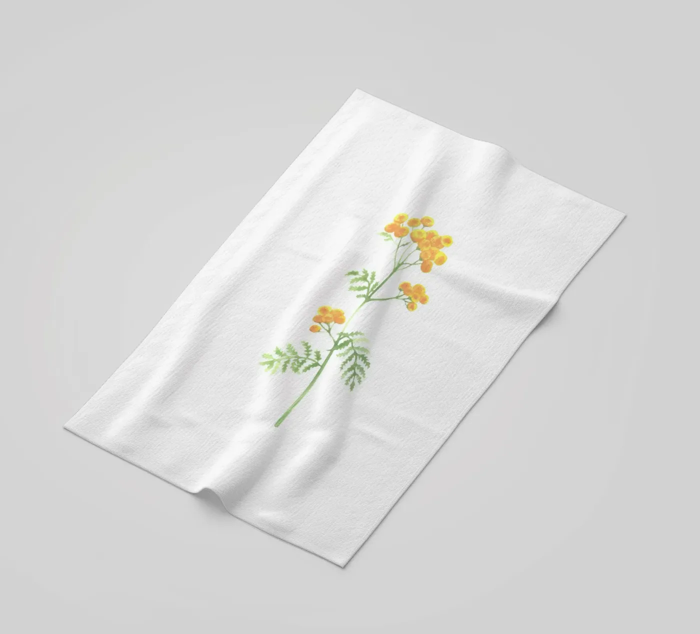 tansy telo mare da Maria Vdovichenko