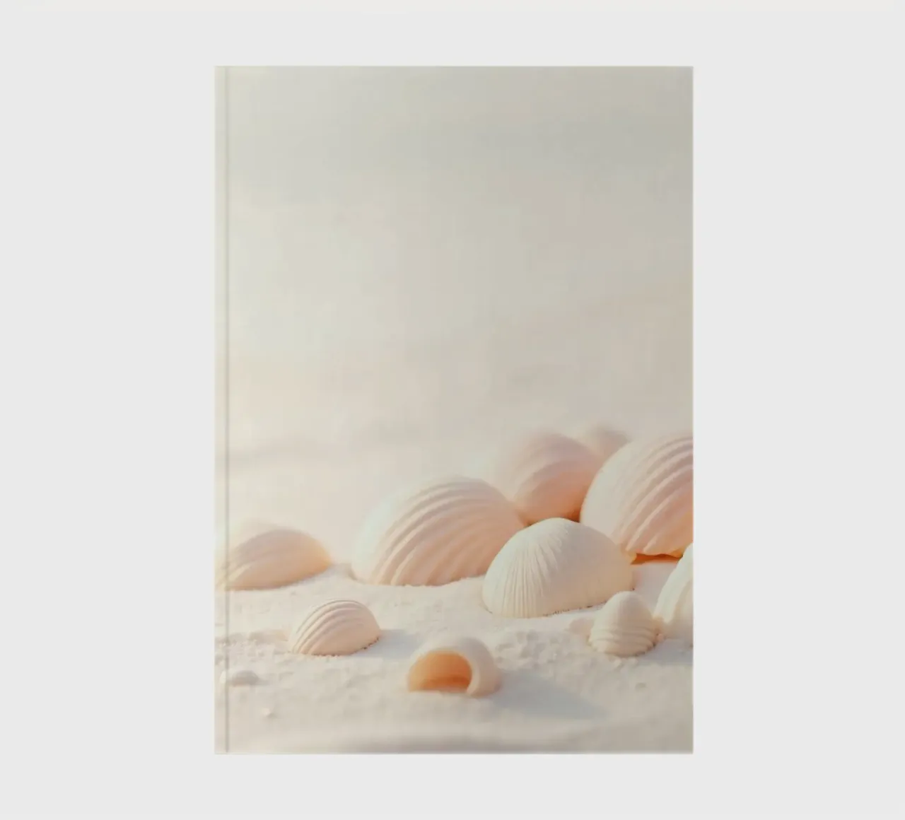 Conchiglie sparse su una spiaggia sabbiosa durante la mattina presto diario da DesignDoodle
