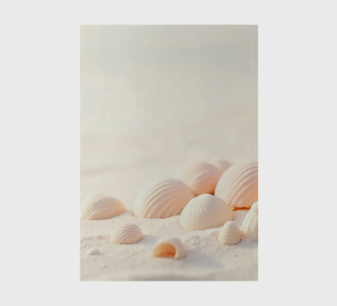 Conchiglie sparse su una spiaggia sabbiosa durante la mattina presto diario da DesignDoodle