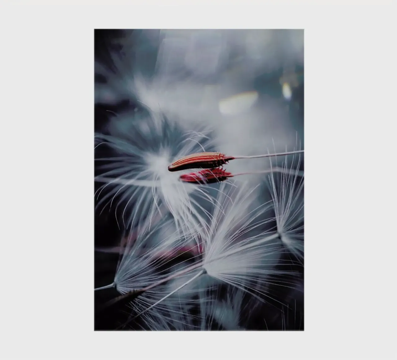 Hold Your Breath @ismaeljs notebook by EyeEm Mobile GmbH