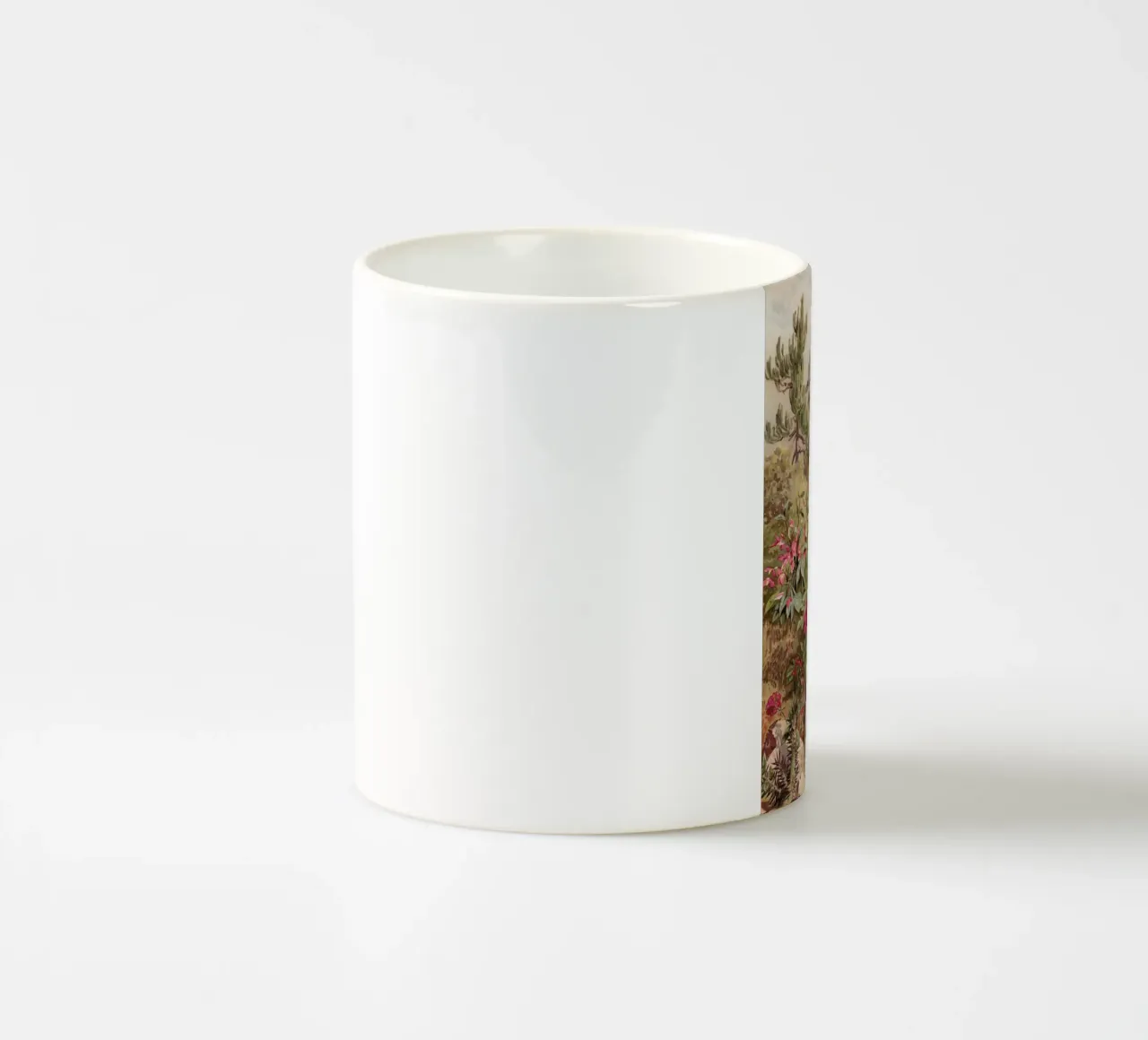 Euphorbiaceen Crop   Lowres tazza in ceramica da Astër