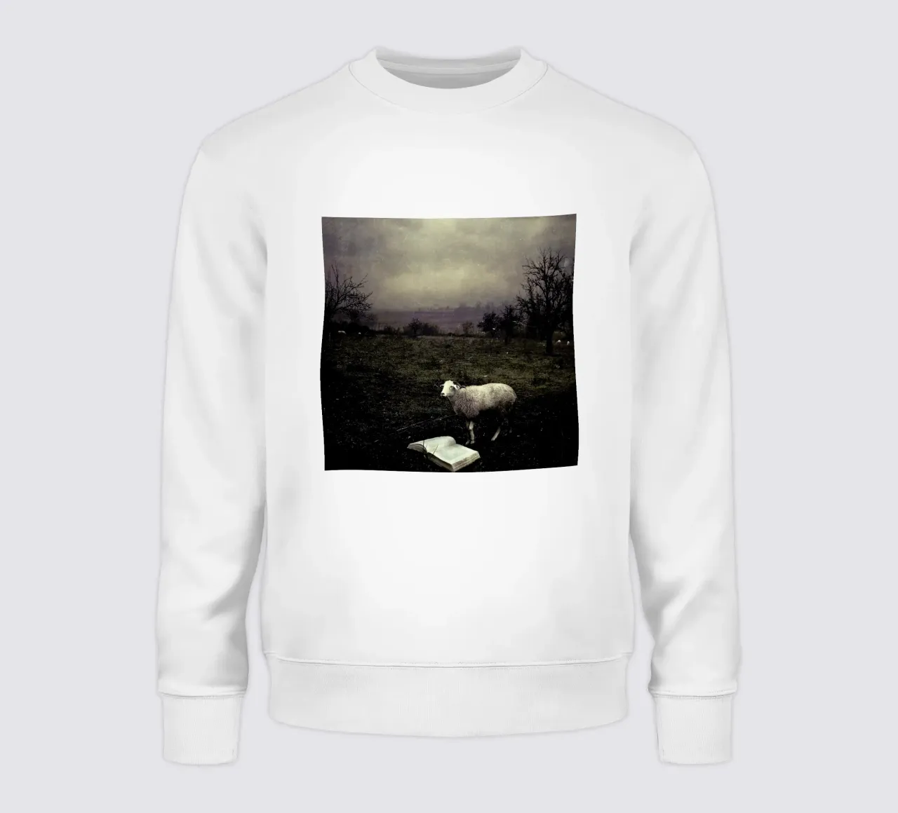 pa 2009-06 felpa da Sarolta Bán