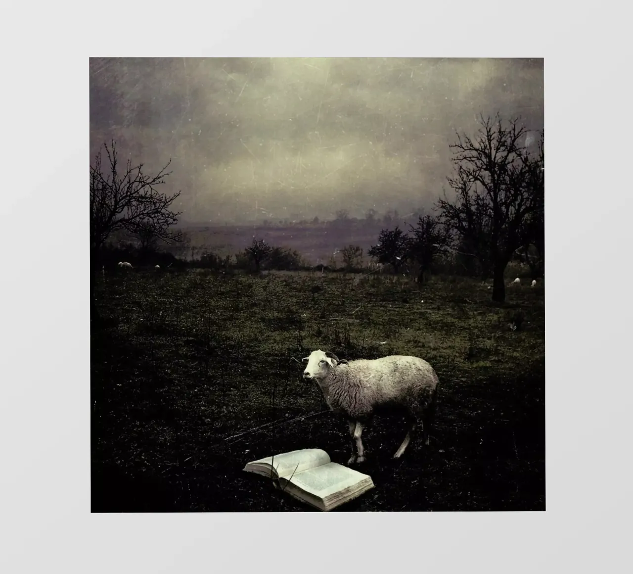 pa 2009-06 pellicola backlit da Sarolta Bán