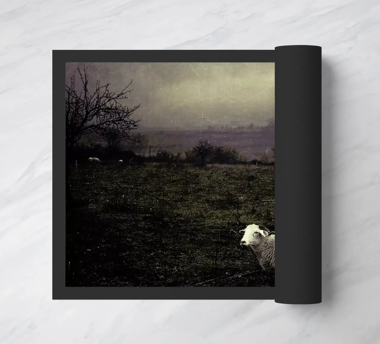 pa 2009-06 zerbino da Sarolta Bán