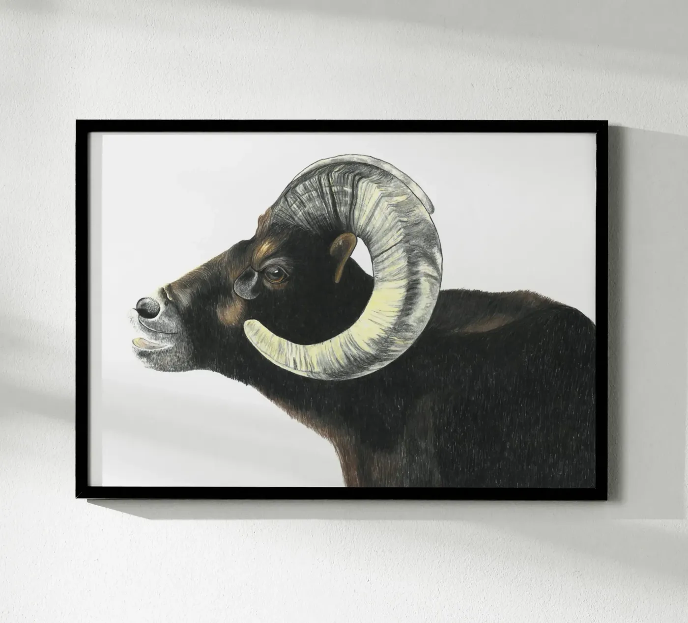 Aries poster by PENCILS & TALES