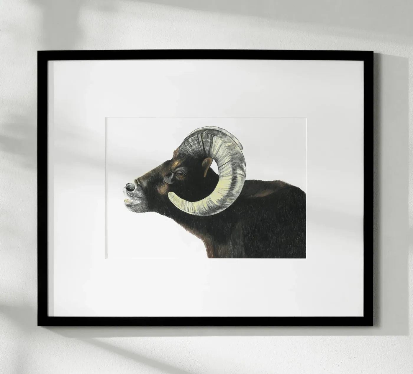 Aries poster by PENCILS & TALES