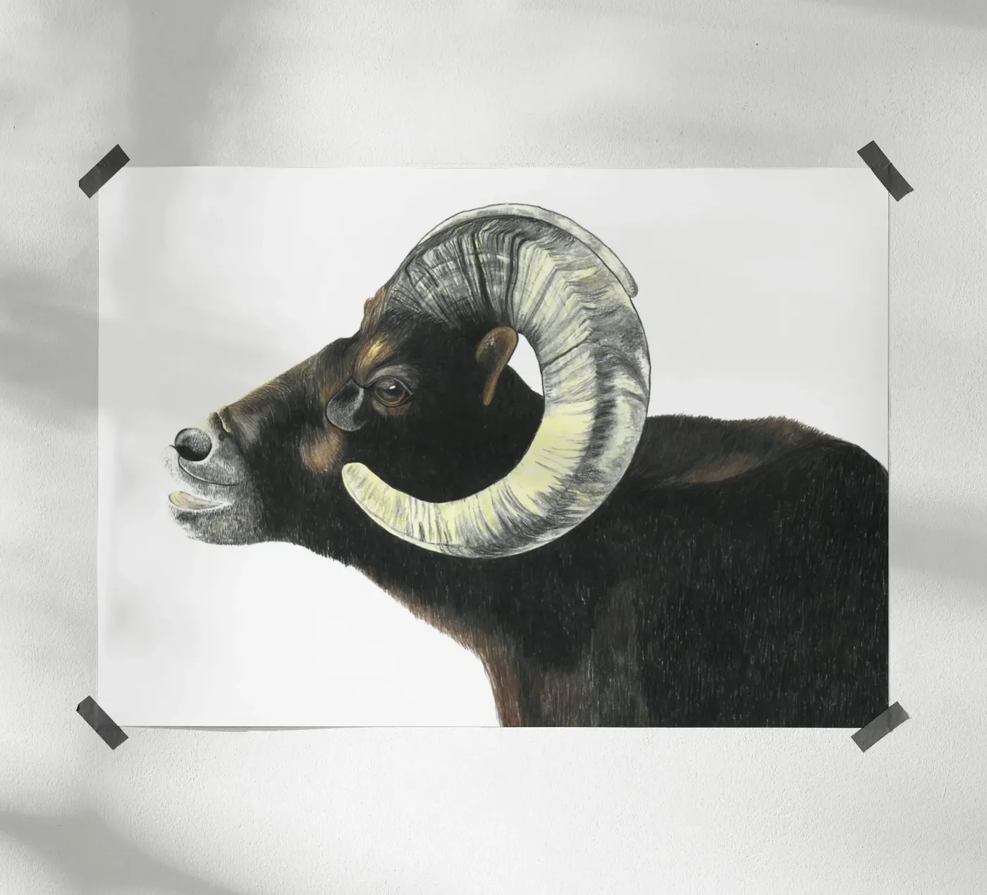 Aries poster by PENCILS & TALES