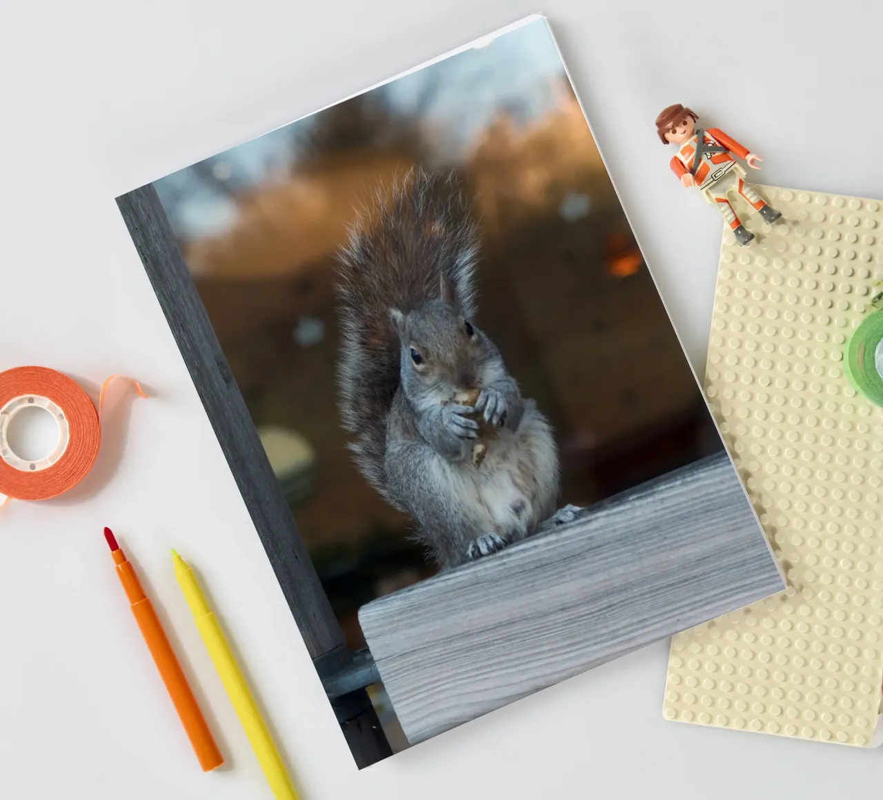 SQUIRREL notebook by Grumpz