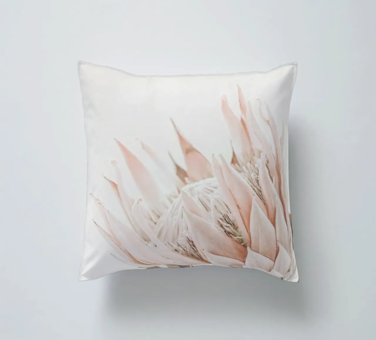 Protea cuscino da Monika Strigel