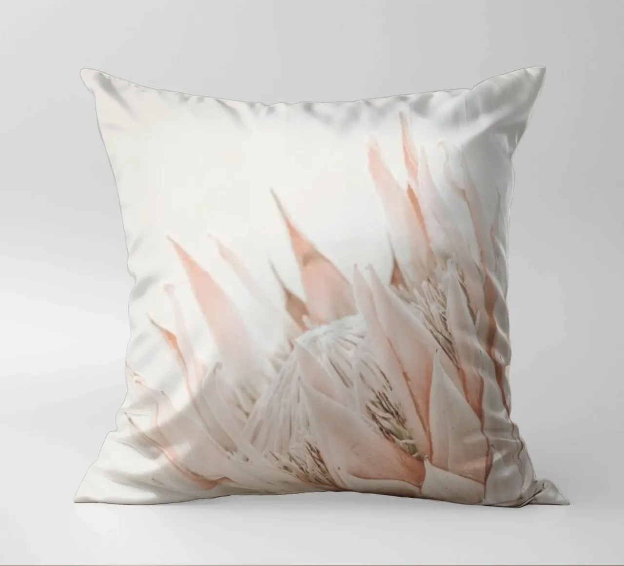 Protea cuscino da Monika Strigel