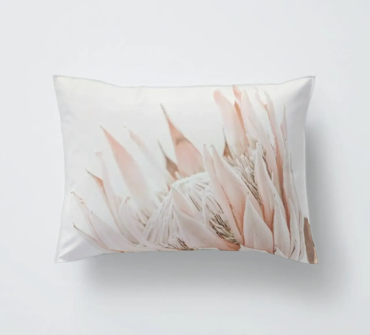 Protea cuscino da Monika Strigel