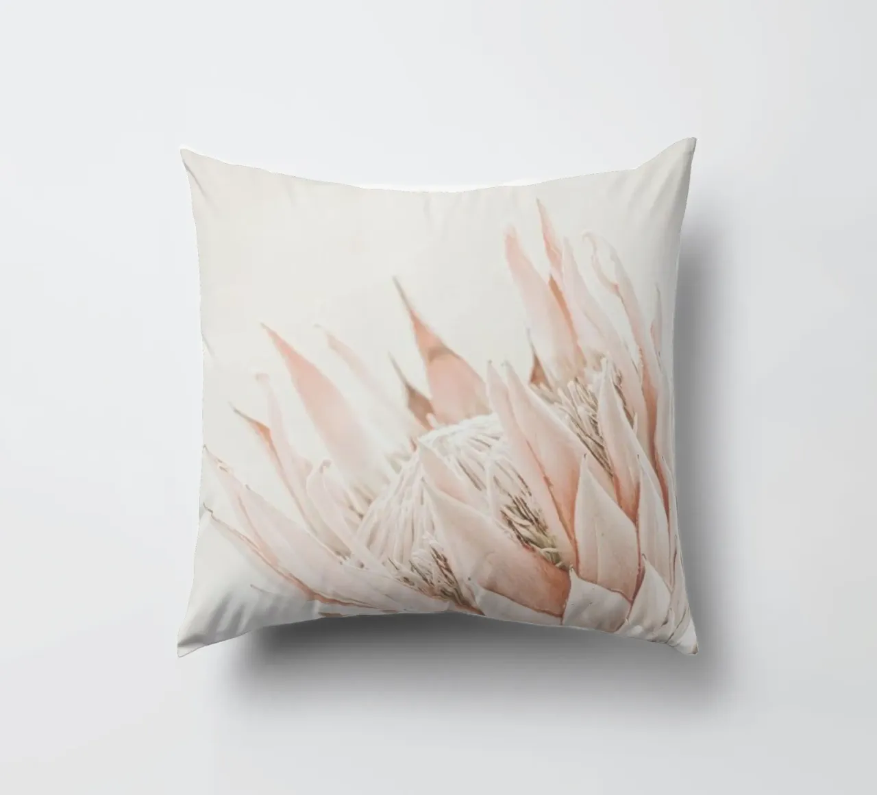 Protea cuscino da Monika Strigel