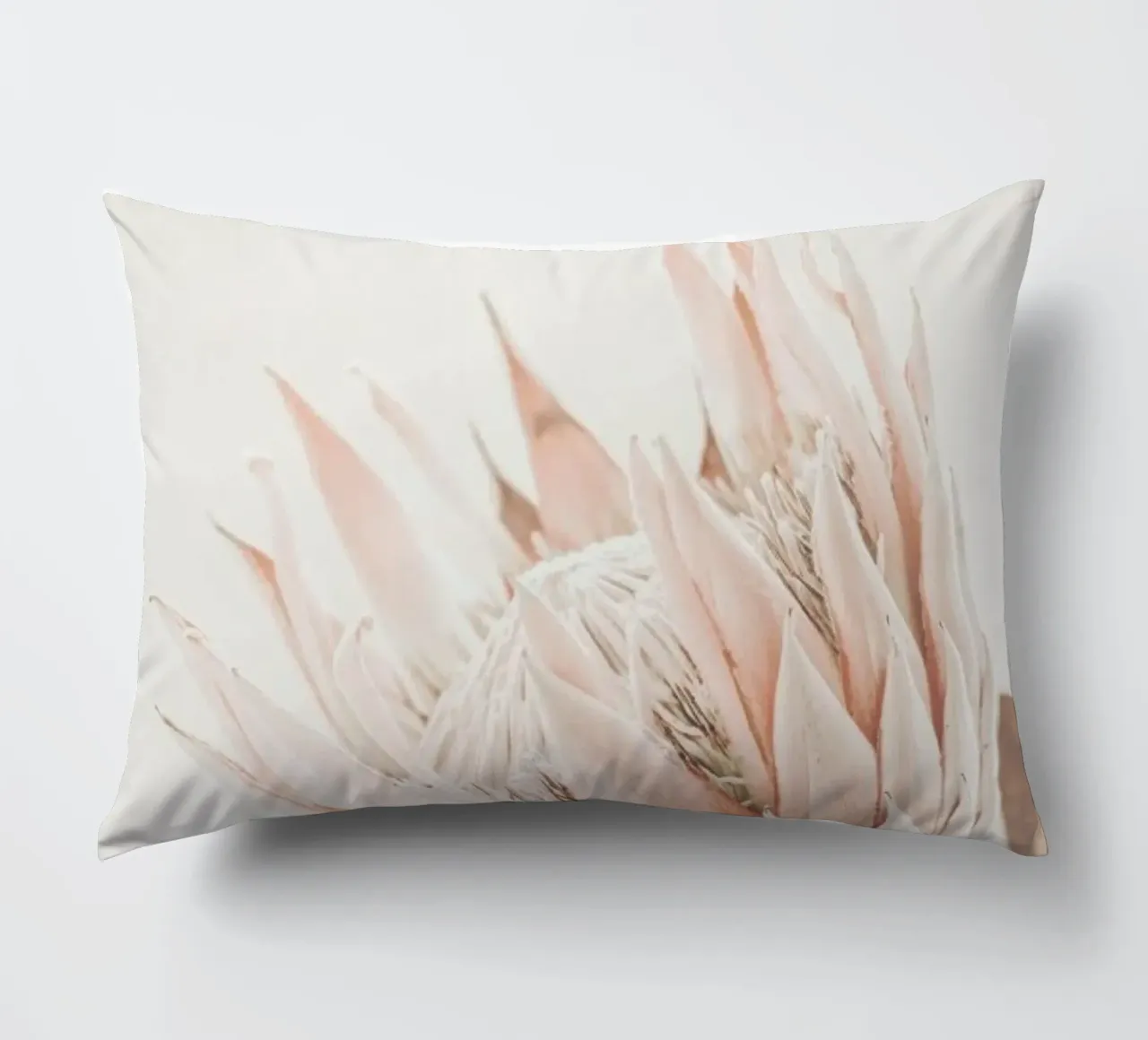Protea cuscino da Monika Strigel