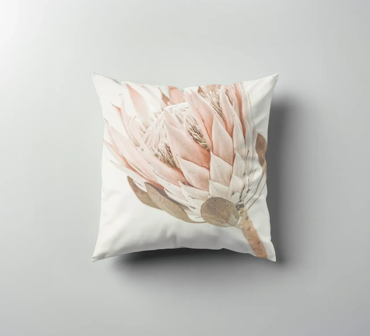 Protea cuscino da Monika Strigel