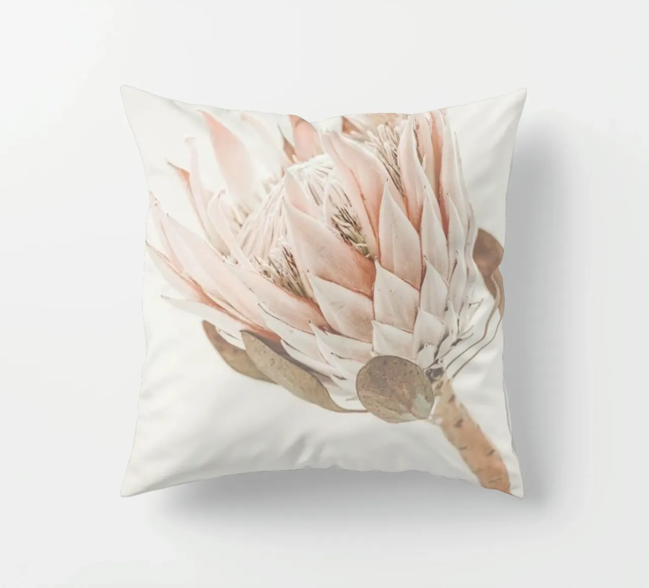 Protea cuscino da Monika Strigel