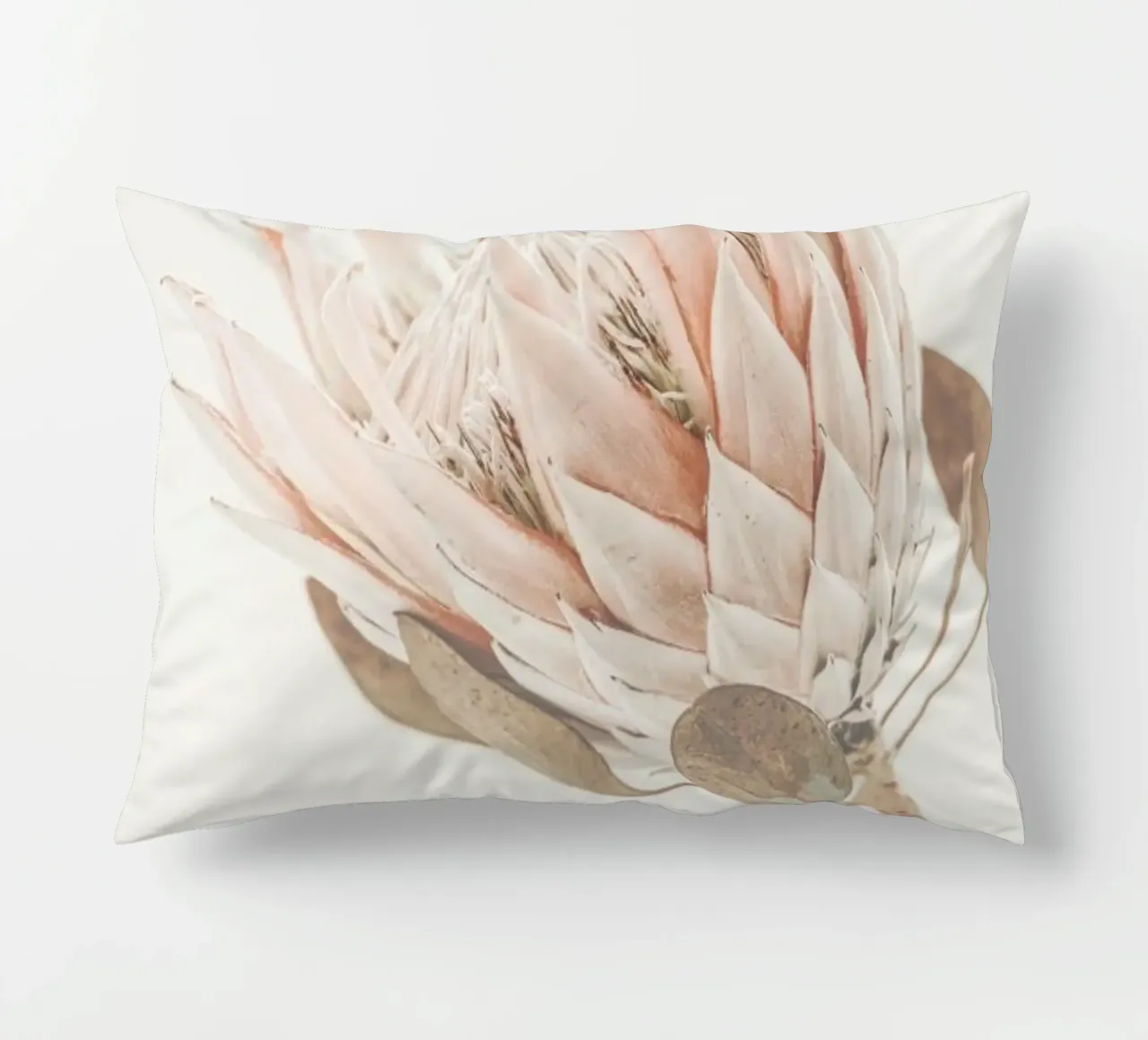 Protea cuscino da Monika Strigel