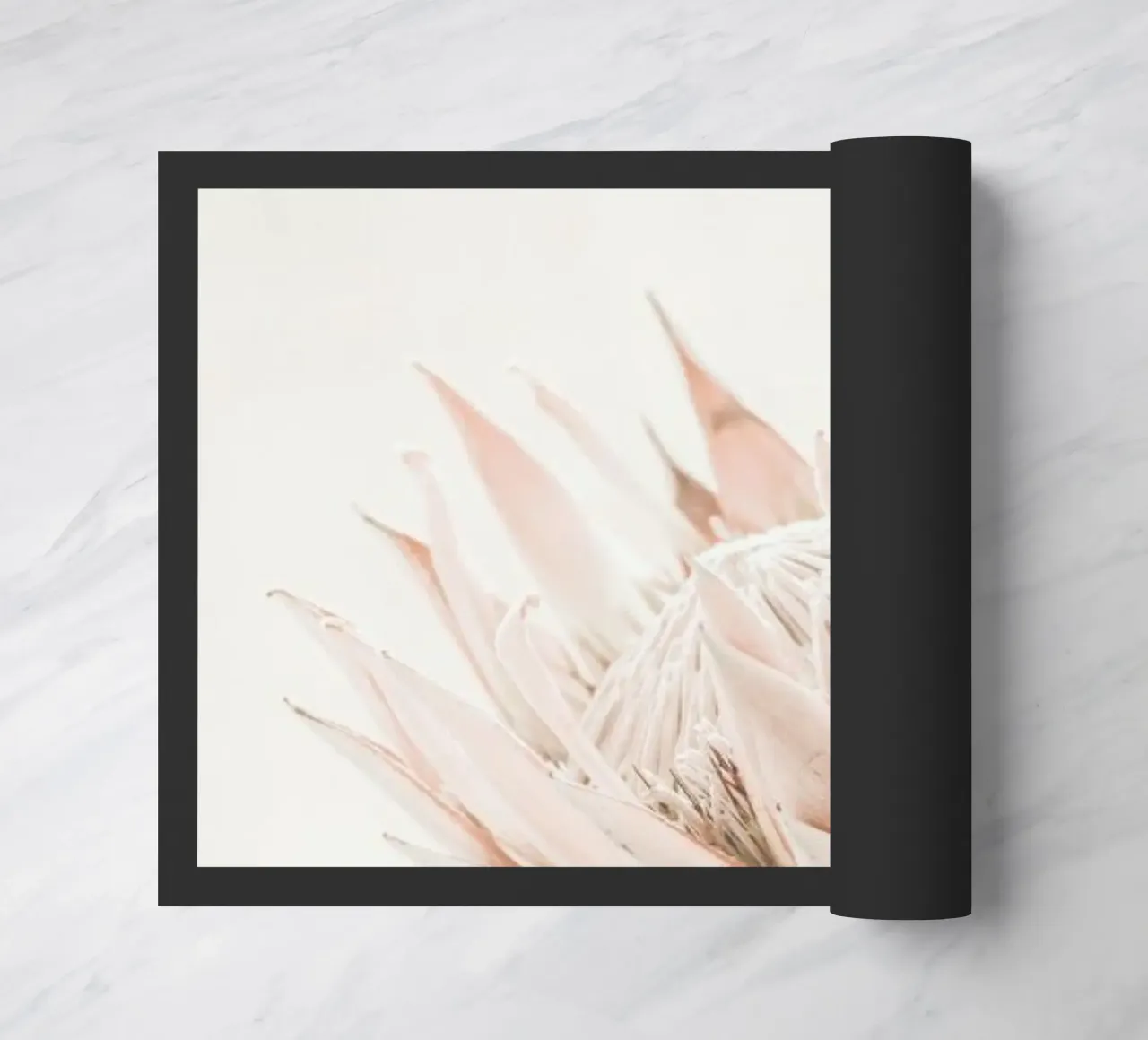 Protea zerbino da Monika Strigel