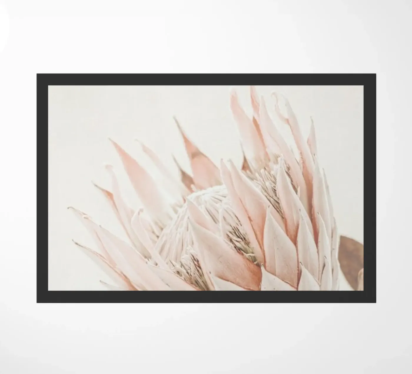 Protea Fußmatte von Monika Strigel