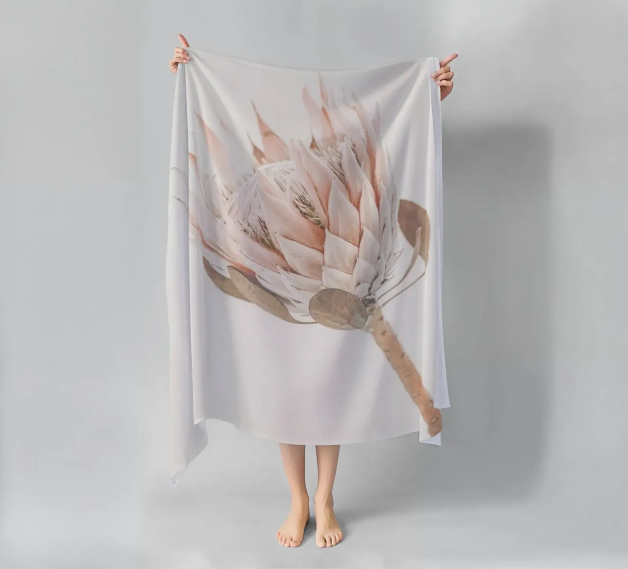 Protea telo mare da Monika Strigel