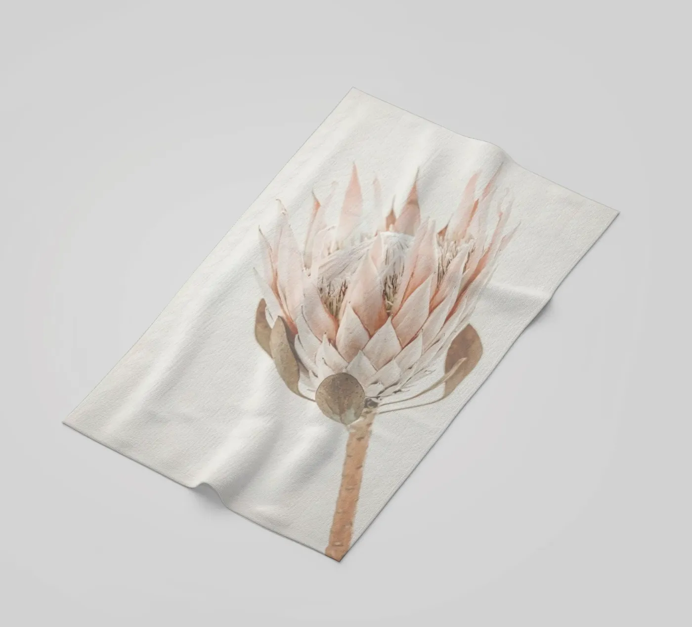 Protea beach towel by Monika Strigel