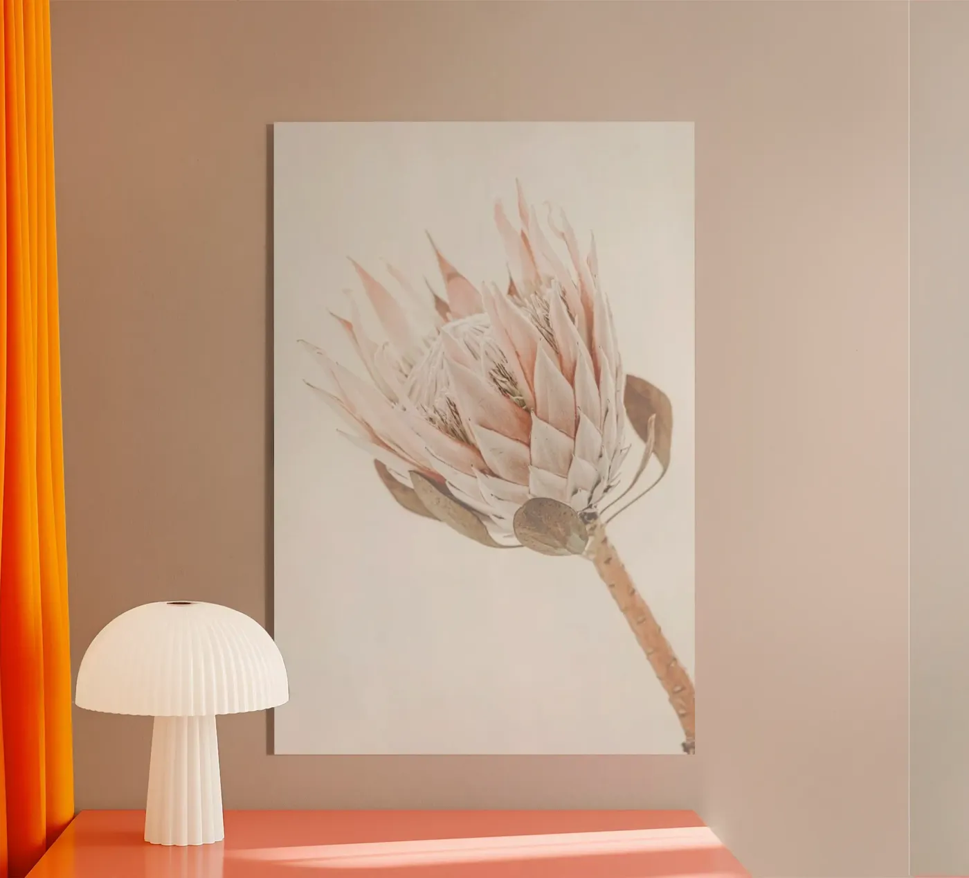Protea acrylic glass by Monika Strigel