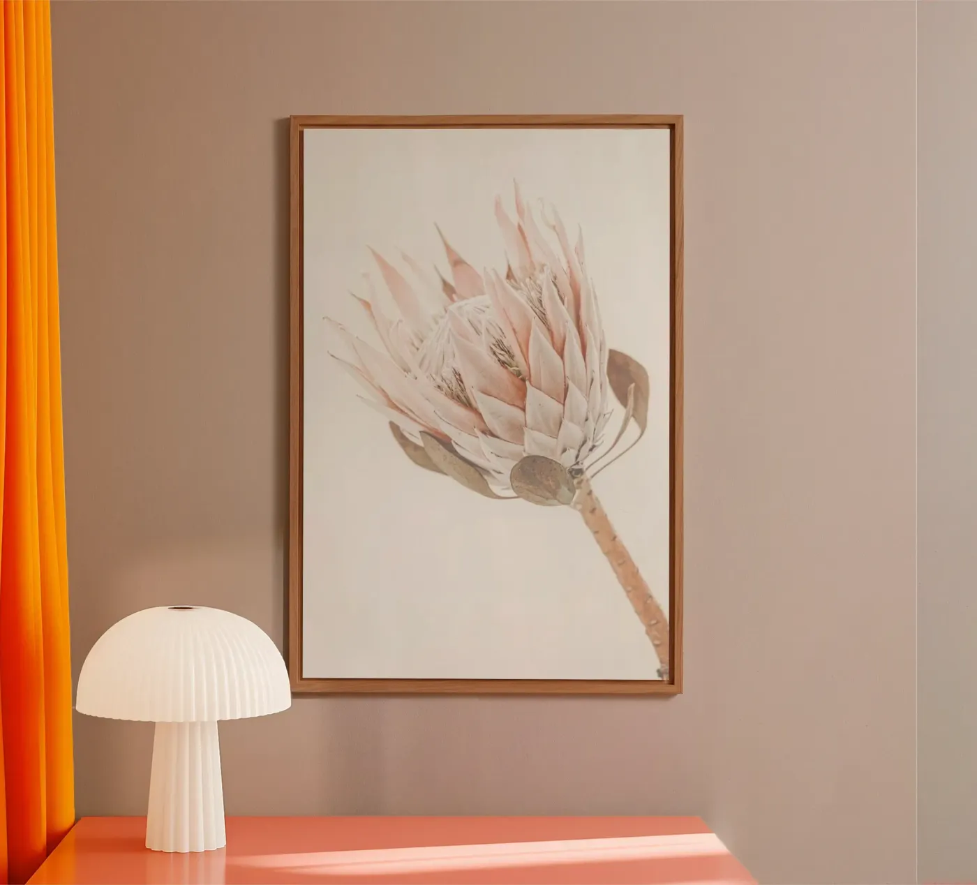 Protea alluminio dibond da Monika Strigel