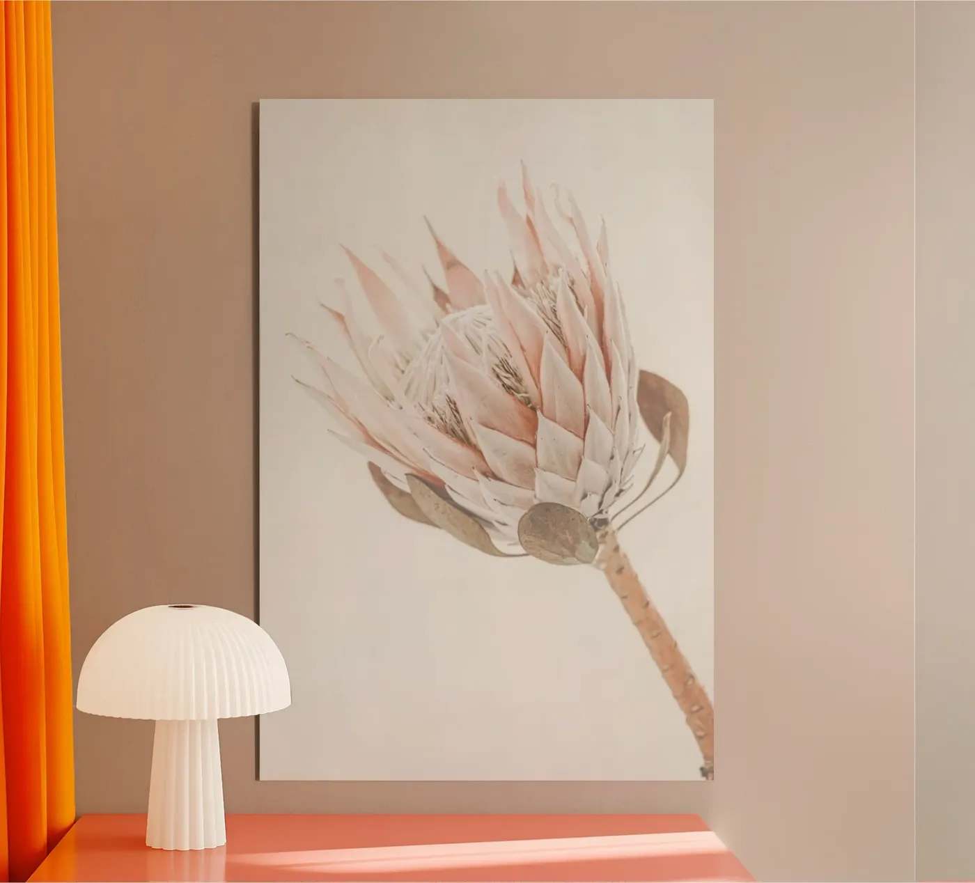 Protea alluminio dibond da Monika Strigel