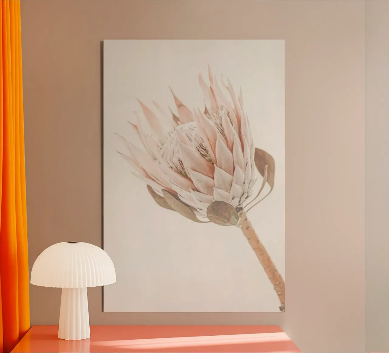 Protea pannello forex da Monika Strigel