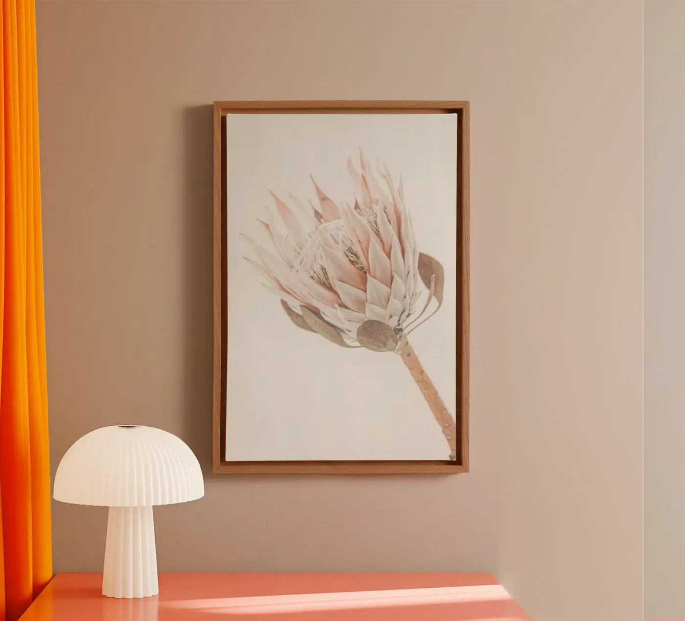 Protea tela da Monika Strigel