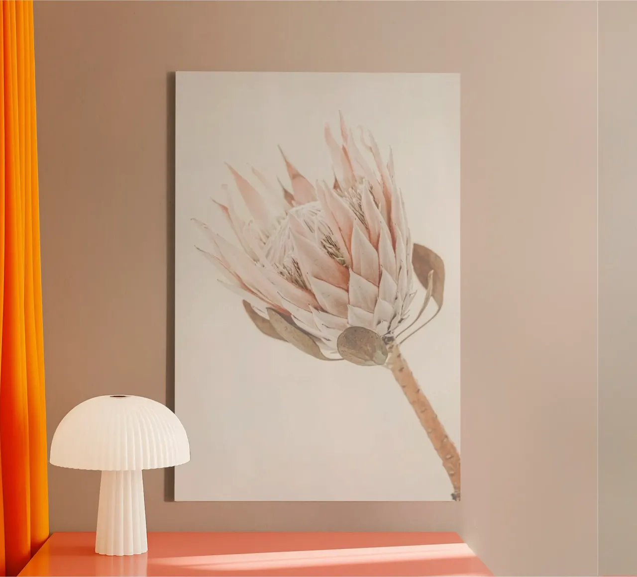 Protea tela da Monika Strigel