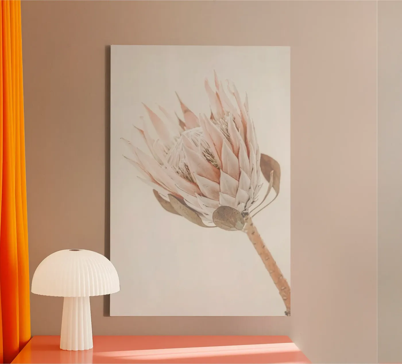 Protea tela da Monika Strigel