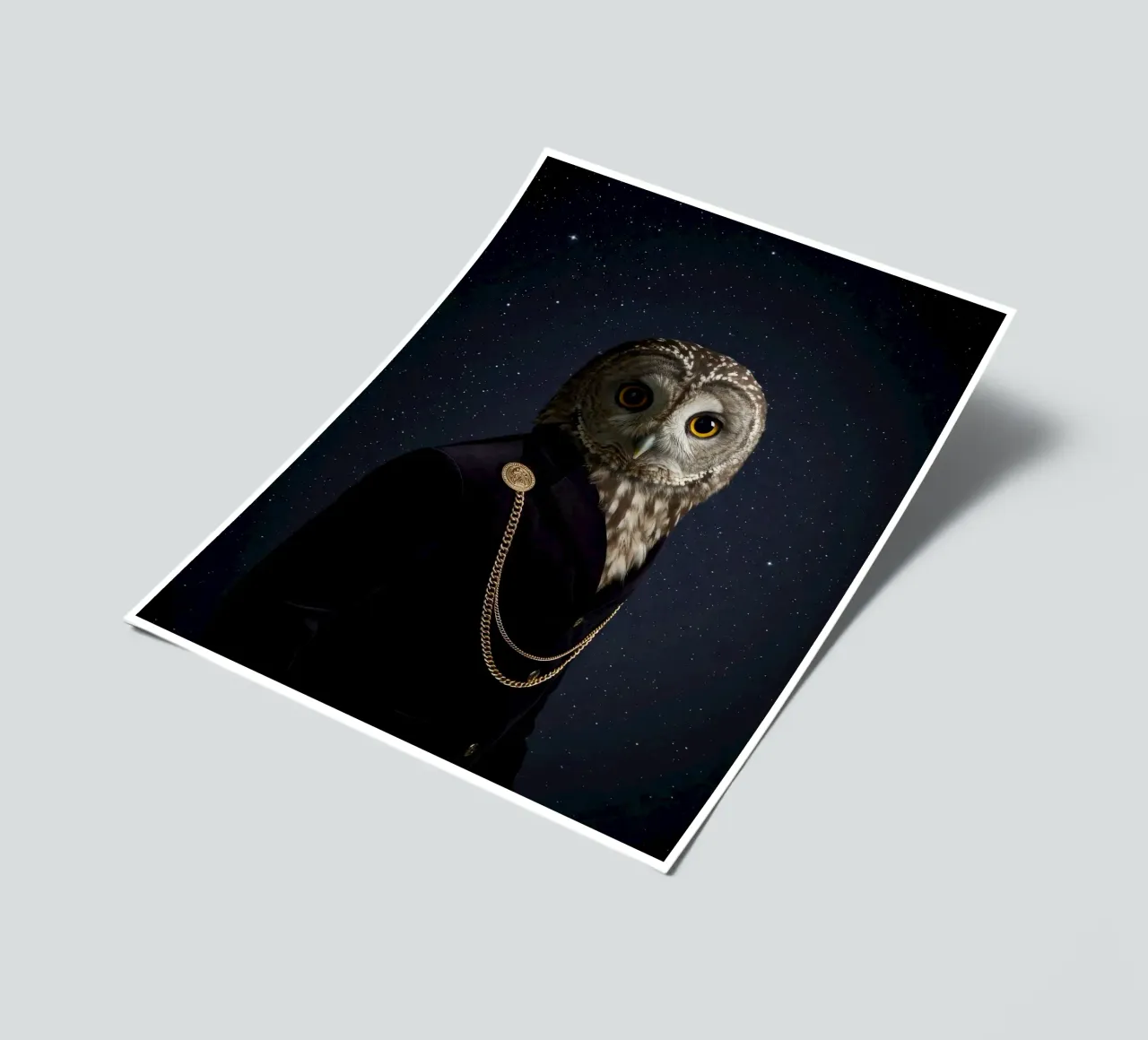 Mode-Eule Stickerbogen von Pawtrait Studio