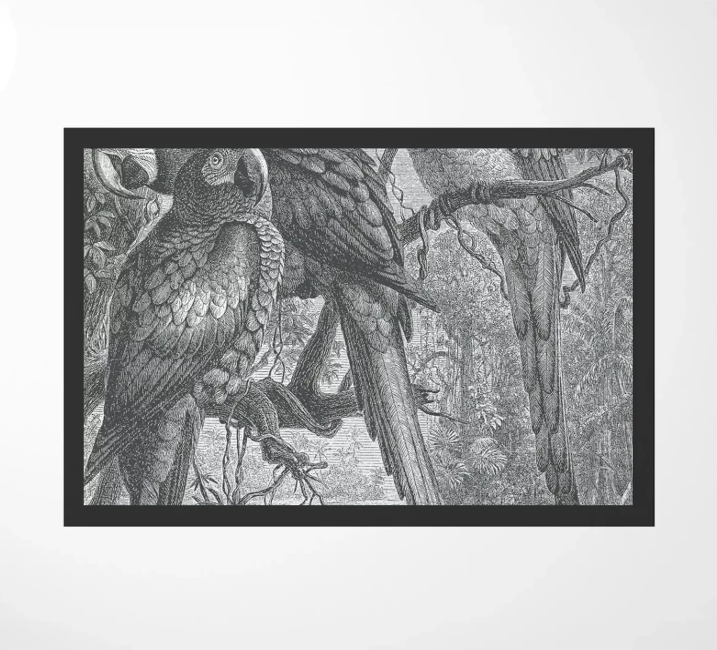 Macaws Parrots deurmat van Astër