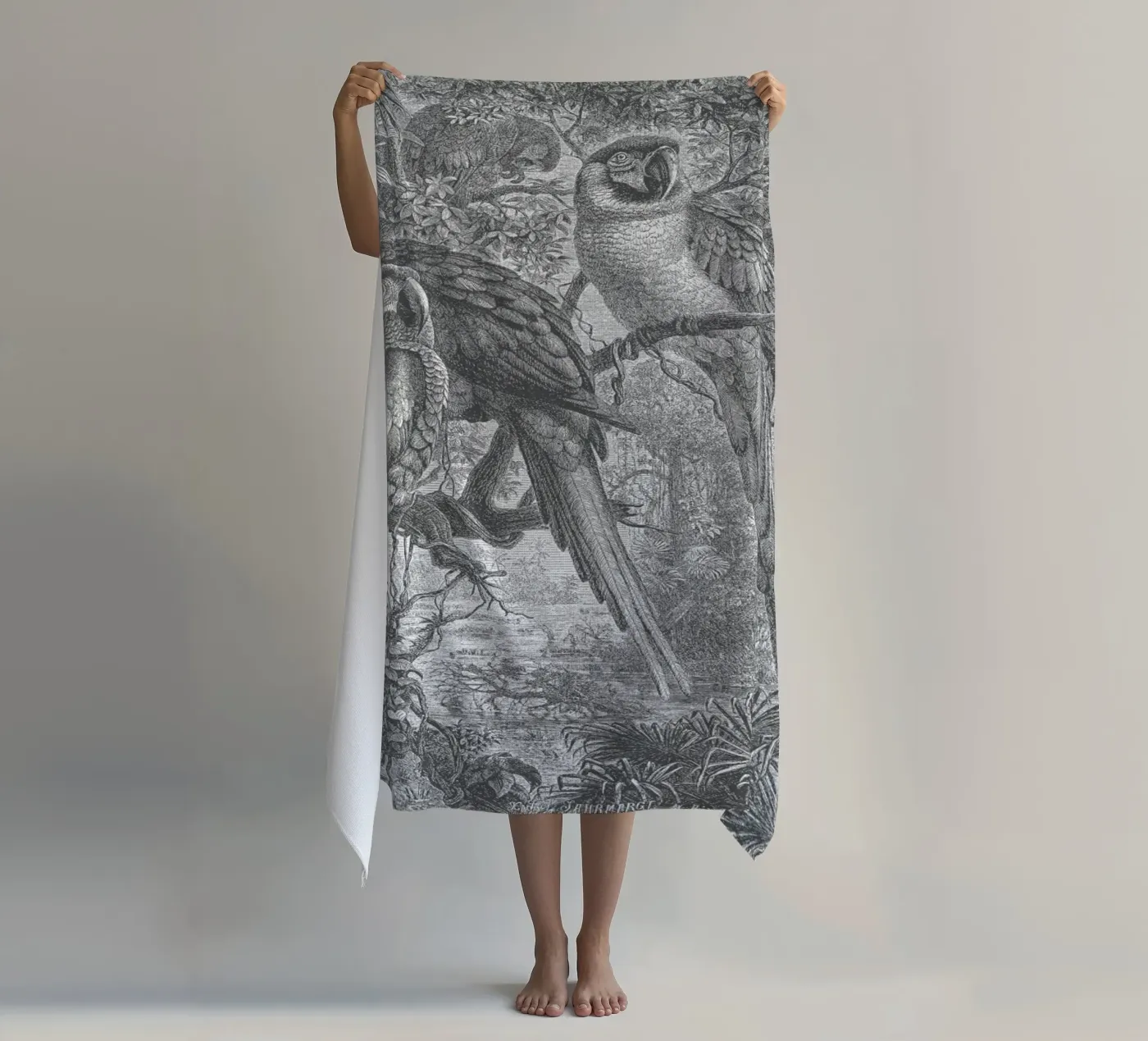 Macaws Parrots telo mare da Astër