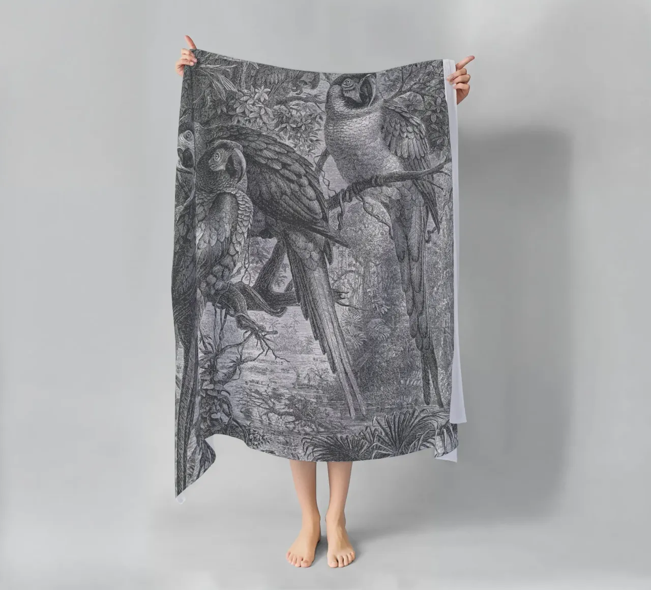 Macaws Parrots telo mare da Astër