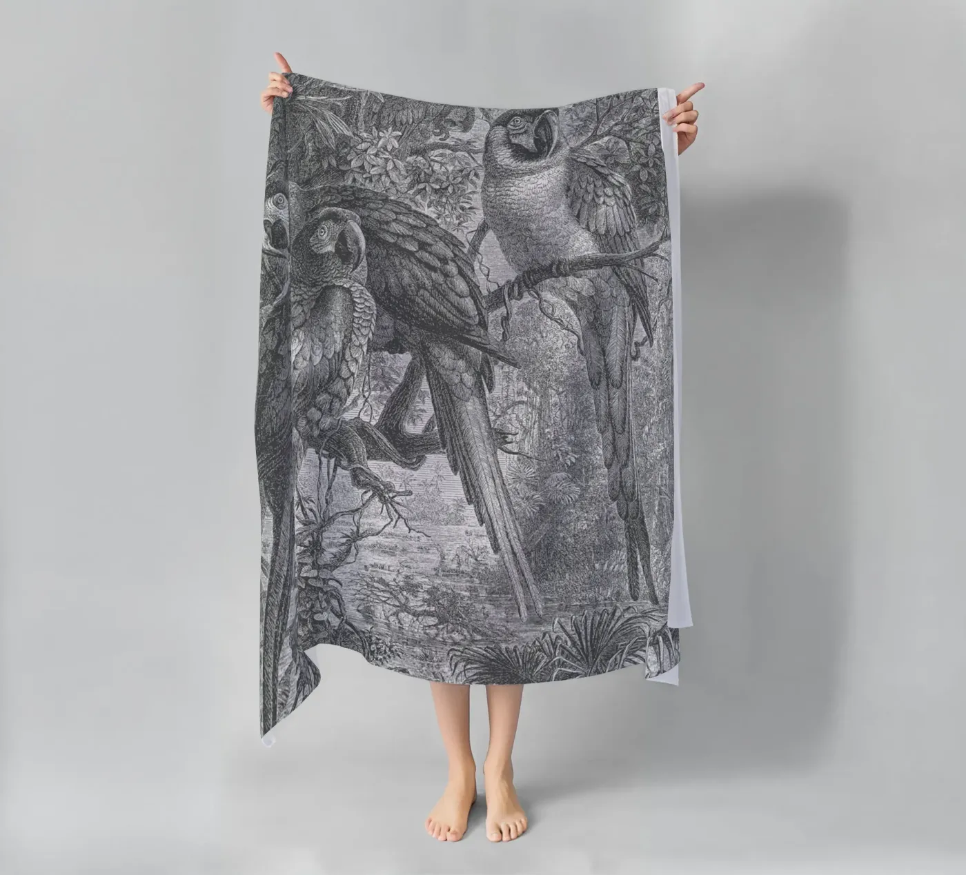 Macaws Parrots telo mare da Astër