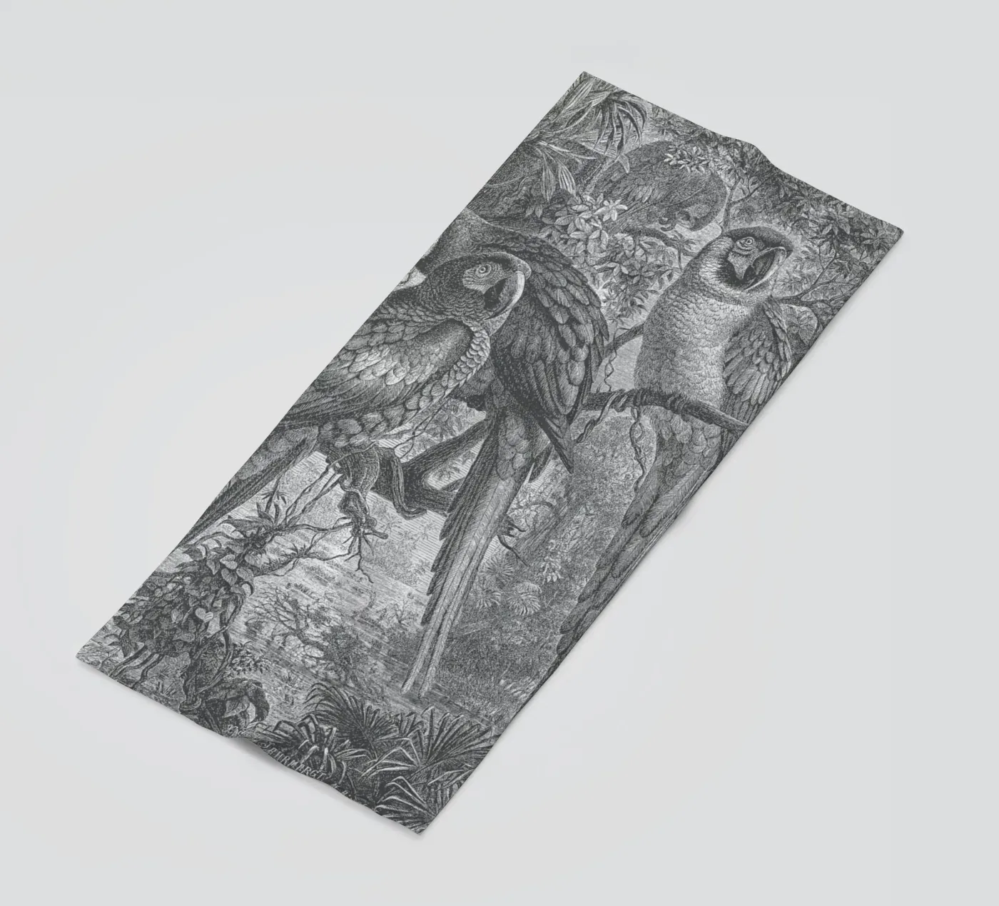 Macaws Parrots telo mare da Astër