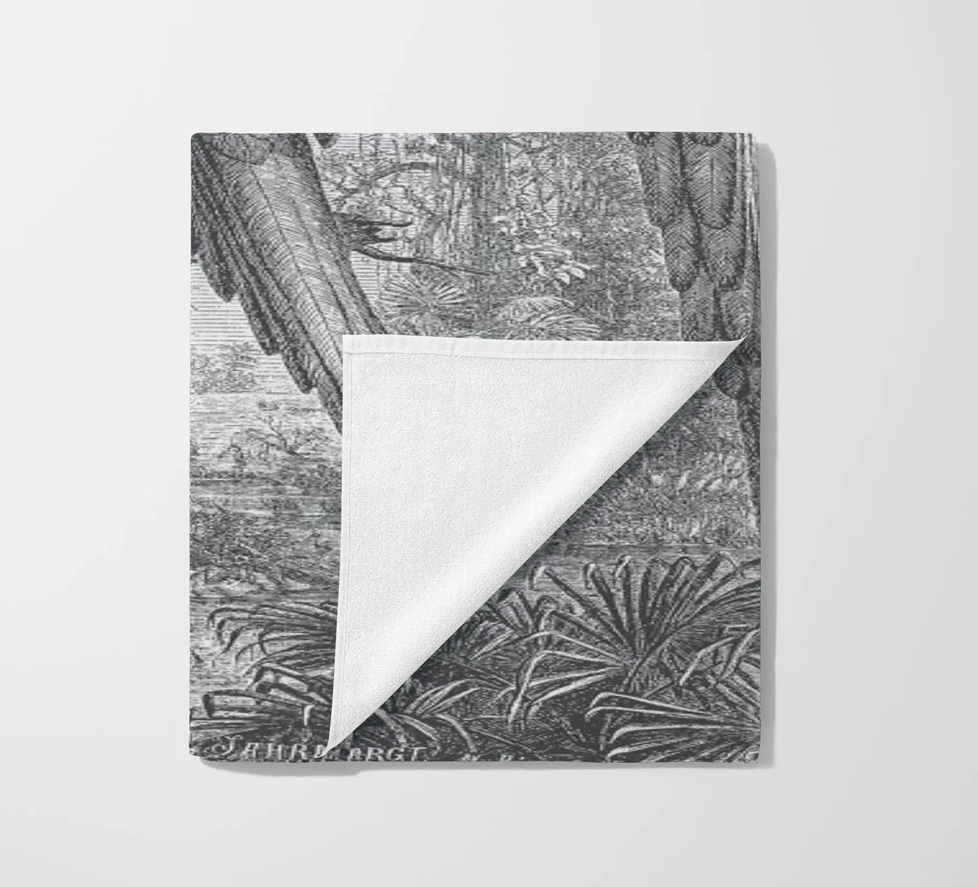 Macaws Parrots telo mare da Astër