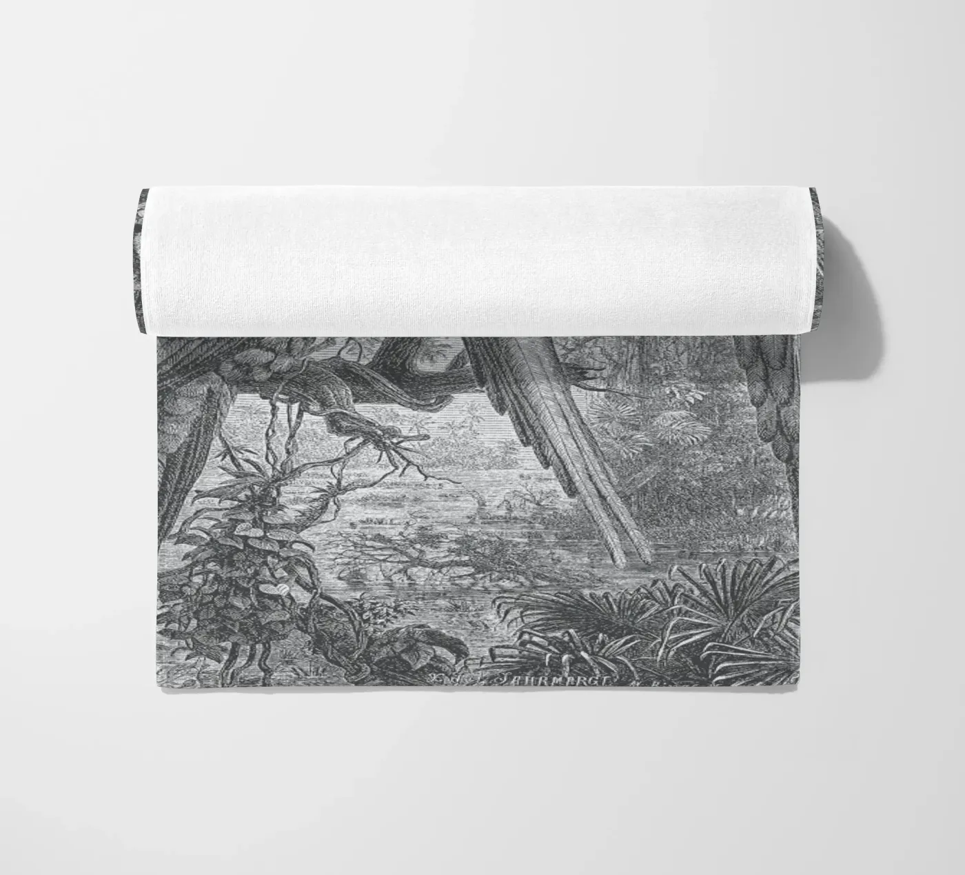 Macaws Parrots telo mare da Astër