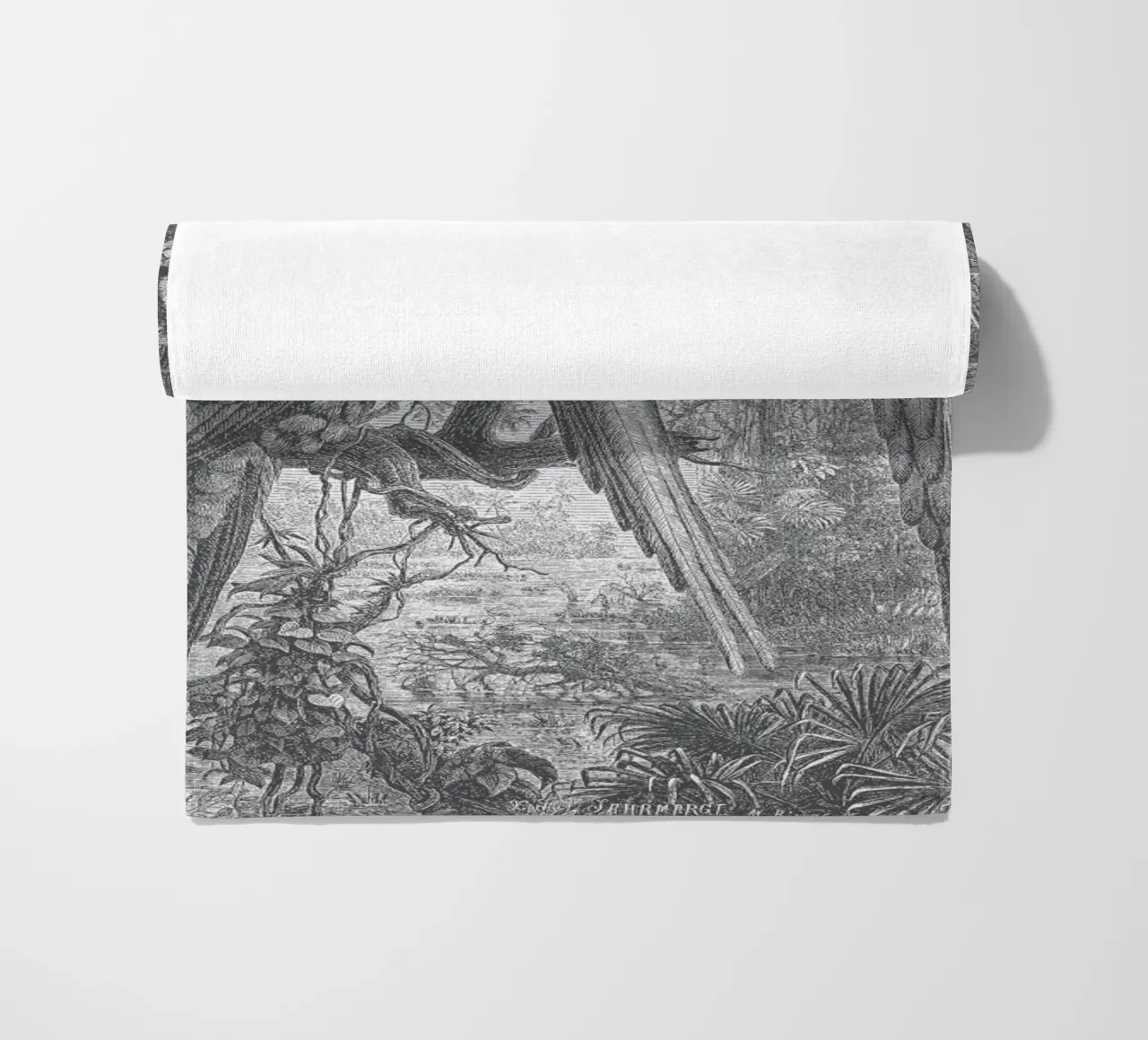 Macaws Parrots telo mare da Astër