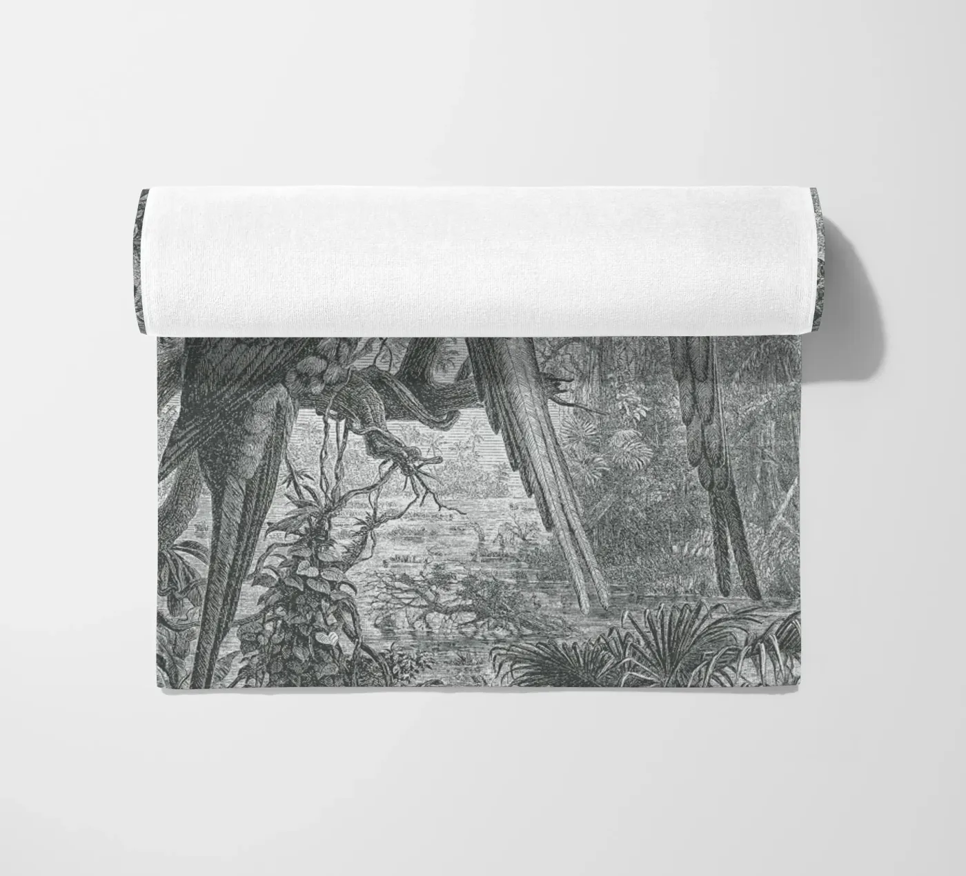 Macaws Parrots telo mare da Astër