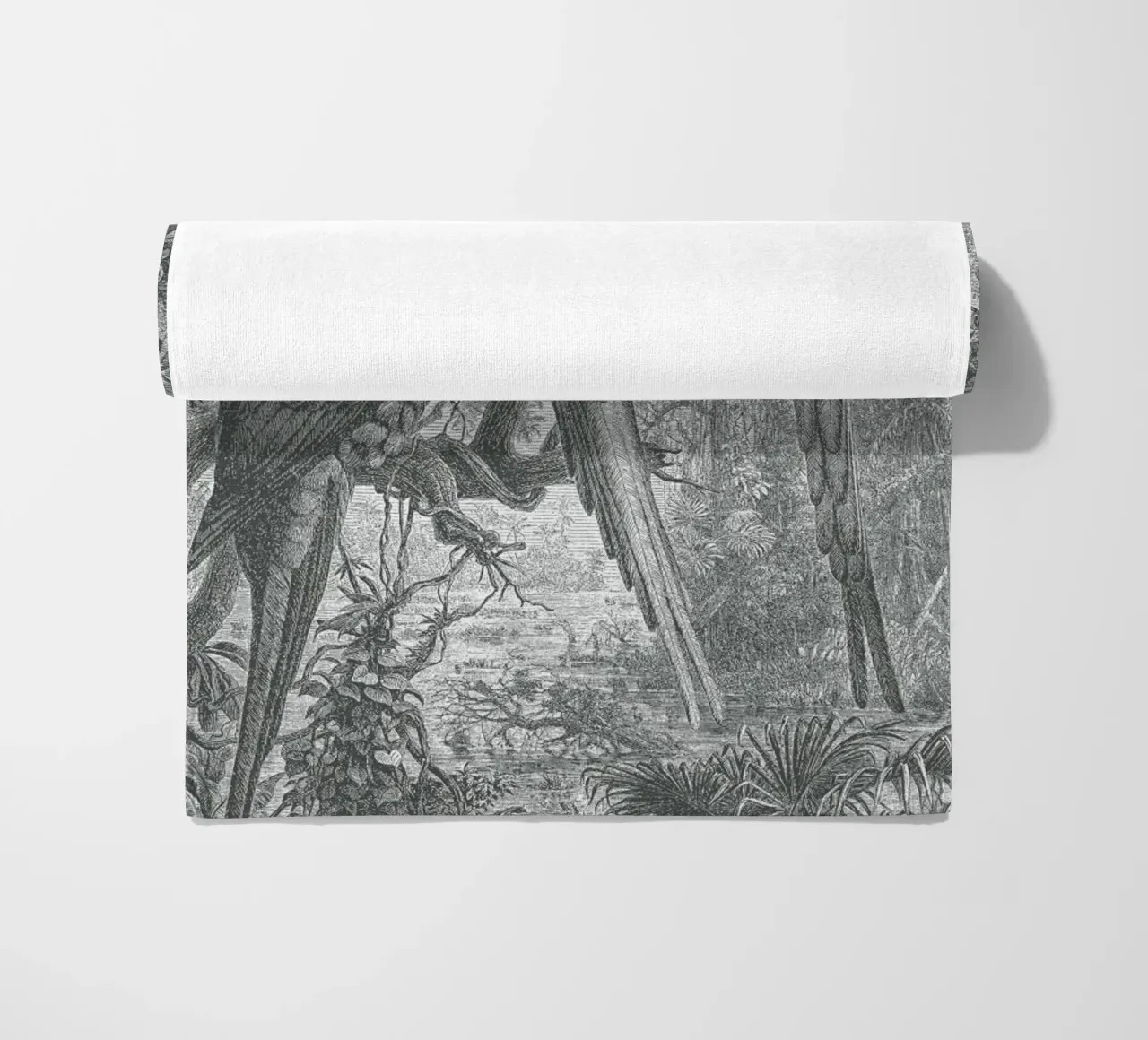 Macaws Parrots telo mare da Astër